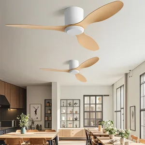 Modern 52 Inch DC Ceiling Fan Multicolor ABS Blades Wall Control Remote Electric Motor Factory Direct Sale for Household Use