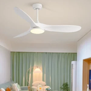 Modern 52 Inch DC Ceiling Fan with Light and Remote Silent BLDC Motor for Living Room