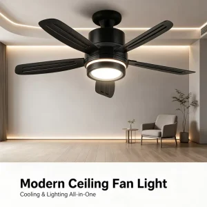 Modern Black Ceiling Fan Light 5 Blade 3 Speed Remote Timer Reversible 24W Flush Mount D400 D520mm