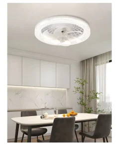 Modern Ceiling Fan Light with Remote Control