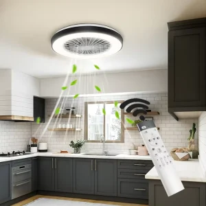 Modern Ceiling Fan with Light 40W for LED and DC Motor 3000 6500K Adjustable Remote Control