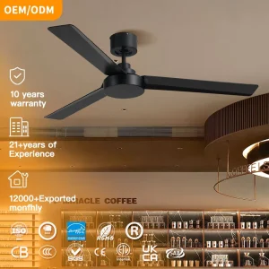 Modern Ceiling Fans 52 Inch Dc Socket Abs Chandelier Black Digital Remote Control Ceiling Fan