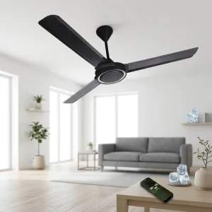 Modern Decorative Big Motor Ceiling Fan