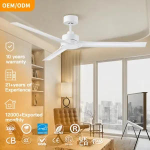 Modern Design DC Motor 60 Inch 3 ABS Blade Ceiling Fan with Light and Remote Control for Household & Hotel Use