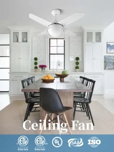 Modern Indoor White ABS Blade Ac Low Power Motor 36 Inch Energy Saving Consumption LED Ceiling Fan