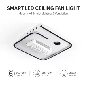 Modern LED Bright Ceiling Fan Remote Control Iron Body Bladeless Design Smart DC Motor Quiet Operation Dimmable Home Decorative