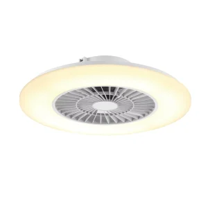 Modern LED Ceiling Light With Fan Dimmable Ceiling Fan Lights With Remote Control Adjustable Wind Speed Fan Lights