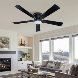Modern Living Room Bedroom Hotel Black Noiseless 5 Blade Ceiling Fans With Light and Remote