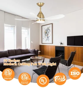 Modern Simple Mini 38 Inch DC Motor Decorative Ceiling Fan 6 Blades LED Light Remote Control Energy Efficient Class for Hotel