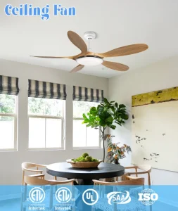 Modern Style 5 Blades DC Motor ABS Ceiling Fan with LED Light and Remote Control
