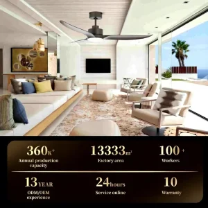 Modern Style Silent Home Decor 52 Inch Ceiling Fan Simple Indoor Remote Control Ceiling Fan With Light