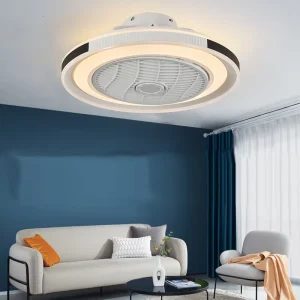 Modern for Bedroom With Remote Control Luminous Led Ceiling Fan Light