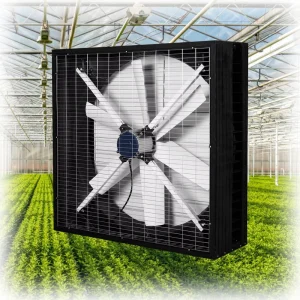 Negative pressure Cooling Axial Flow Fans for Ventilation and Temperature Reduction in Poultry Farms and Factory Workshops