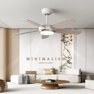 New 52 Inch Modern Decorative LED Ceiling Fan Lamp with Remote Control BT Speaker Lights from China