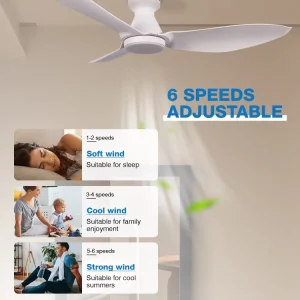 New Design 52 Inch Silent LED Ceiling Fan with Light, Metal Body, 3 Blades, 6 Speeds, Indoor Bedroom