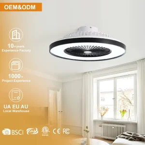 New Design Bedroom Ceiling Fan 23 Inch Decorative Smart Bldc Modern Led Ceiling Fan With Light and Remote Control