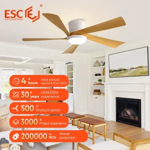 New Fan Light Smart Ceiling Fan Light 5 Fan Speed 52 Inch Recessed Ceiling Fan with Light and Remote Control