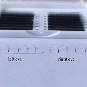 New and Hot Selling Private Label Premade Fan Clover Soft Volume C D Curl Eyelash Extension Foxy 4D W Lash Extension