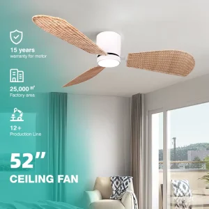 Newest Simple Low Noise 6 Speed Choice 52 Inch Indoor Bedroom WiFi Silent Remote Smart Control Led Ceiling Fan with Light