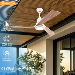 OEM ODM Modern Iron 52-Inch RGB LED Light Ceiling Fan with Remote Control Dimmable 6-Speed DC Motor for Living Room