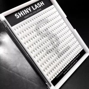 Pointy Base Premade Fans Stock 12D Premade Volume Fan Eyelash Extension 240fans 0.07 C D Mega Volume Pre Made Fans Lash