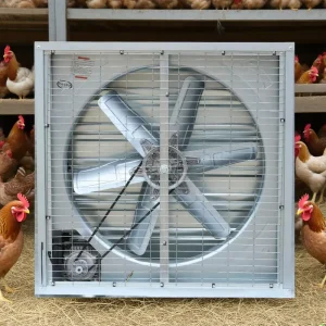 Poultry Equipment Warehouse Greenhouse Industrial Exhaust Fan Wall-Mounted Ceiling-Type Electric Axial Fan