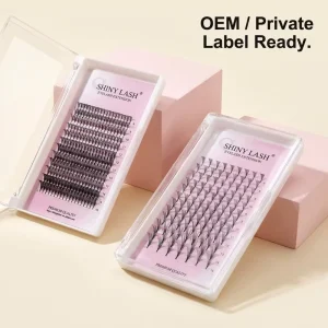 Premade Anime Chunk Eyelash Extensions Trays 3D Print Lash Fan Clusters for Salon Grafting