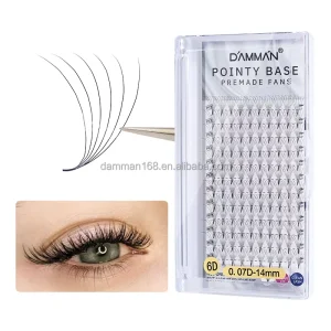 Premade Fans Eyelashes C D Curl 8 15mm Pointed Volume Fans Sharp Stem 120 Pieces Fans 6D Lashes