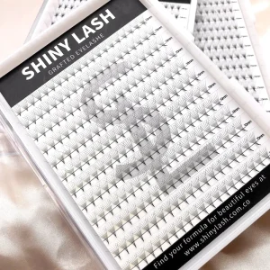 Premade Fans Lash Extensions Pointy Base Professional Synthetic Hair Lash Extensions 240fans Mega Volume Premade Lash Fans Trays