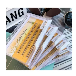 Premade Volume Fans Extensions Easy Fan Eyelash Extensions Cluster Lashes
