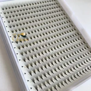 Private Label 3D 4D 5D 6D 7D 8D Premade Fans Russian Lashes Volume Eyelashes XXL Tray