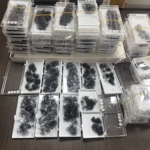 Private Label Loose Promade Fans 3d-20d 0.05 0.07 Lash Premade Fan Short Long Stem Premade Volume Lash Loose 1000 Fans