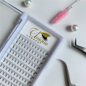 Professional Handmade Korean Pre Made Fan Eyelashes Short Stem 0.07 0.10mm 6D 8D 12 Rows Normal Tray Premade Fans