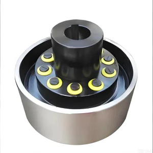 RSK-LTZ Elastic Pin Push Coupling with Brake Drum