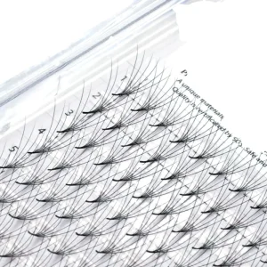 Ready to Ship 6D Premium Korean Silk Fans Lashes Extension Luxury Premade Lash Fans Natural Style DD Curl Loose False Eyelashes