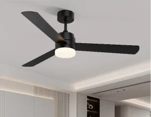 Remote Control Modern Ceiling Fan Light Living Room Ceiling Fan with Lights