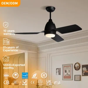 Remote Control Simple Design Fancy Decorative Led Ceiling Fan Light