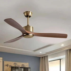 Retro Style Led Ceiling Fan 3 Blades New Arrival ABS Blades ODM Lighting Fancy Remote Indoor Ceiling Fan