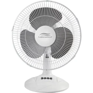 Sell Well New Type High Quality Ultra Quiet 16 Inch Table Fan Evernal Fan Abanico