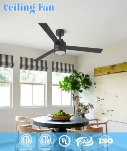 Silent 6 Speed Adjustable DC Motor Plastic 52 Inch LED Ceiling Fan with Remote Control Low Power Decorative