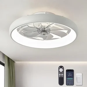 Smart Modern 20 Inch LED Ceiling Fan with 6 Wind Speeds and 5 Blades Decorative Lights for Dining Room