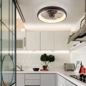 Smart Modern LED Motor Ceiling Fan Light 20 Inch 6 Wind Speeds Remote Control Dimmable Indoor Flat Panel Mount