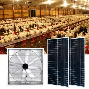 Solar No Belt BLDC Motor Direct Large Industrial Ventilation Fan for Livestock and Poultry Breeding with Intelligent Control