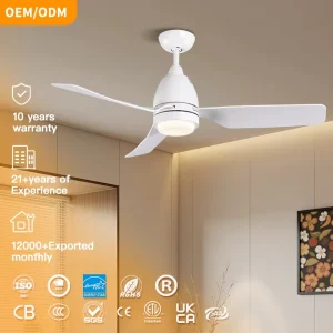 The New Listing Modern Simple Design Remote Control 3 ABS Blades Indoor Decorative Led Ceiling Fan Light with Low Noise Dimmable