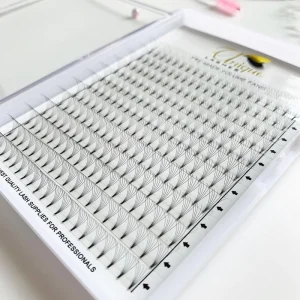 Ultra black Handmade False Eyelashes 6D 0.07 0.10MM Short Base Long Base Synthetic Hair XL Tray 12 Rows Premade Fans