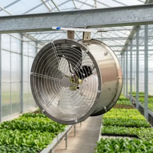 Ventilation System Fans High Quality Air Circulation Fan Exhaust Agricultural Fan for Greenhouse
