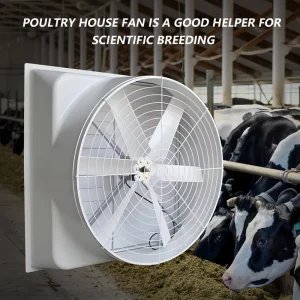 Ventilation Wall Mounted Anti corrosion Fiberglass Cone Exhaust Fan FRP Exhaust Fan FRP Fan for Farm Poultry