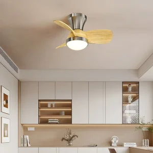 Vintage Industrial Acrylic Ceiling Fan with LED Light and Remote Control 24 inch Low Noise for Bedroom