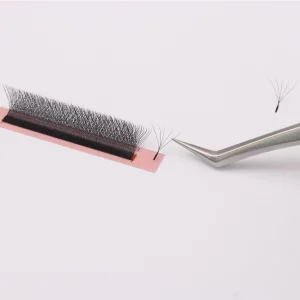 W Shape 4DW 5D W Clover W Fans Eyelash Extensions Machine Made Synthetic Hair Natural Soft Light Full Lashes