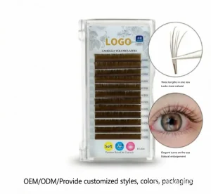 W Shaped Eyelashes Extensions Individual Lashes Automatic Flowering Fans 3D 4D 5D Eyelashes